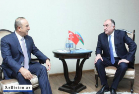   Elmar Mammadyarov meets with his Turkish counterpart   