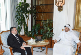  Azerbaijan, Qatar discuss cooperation prospects 