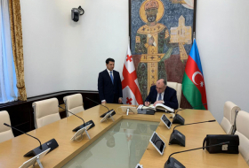  Azerbaijani FM meets speaker of Georgian parliament  