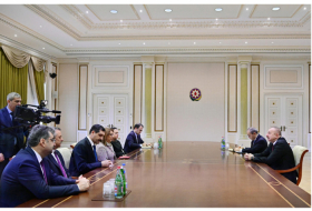   President Ilham Aliyev receives delegation led by Turkish minister of trade  