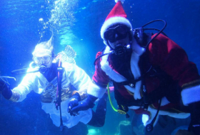   Santa Claus moves from North Pole to Berlin aquarium-   NO COMMENT    