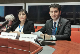   Azerbaijani MP elected as deputy chairman at PACE  