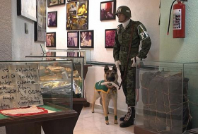 Inside Mexico's hidden museum of drug trafficking -   NO COMMENT 