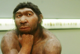  How did the last Neanderthals live? -  iWONDER  