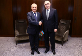 Azerbaijani, Uzbek FMs meet in Baku
