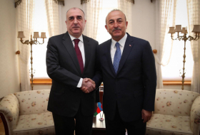 Azerbaijani, Turkish foreign ministers meet in Baku