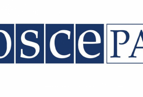   OSCE PA observer: no violations of elections legislation detected  