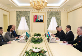   Azerbaijan, Saudi Arabia discuss cooperation prospects  