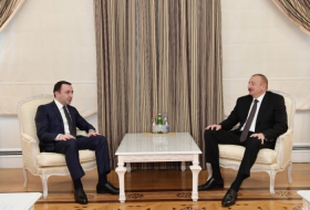  Azerbaijani president receives Georgian defense minister  