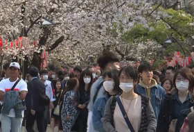  Japanese go out en masse to celebrate cherry blossom season despite coronavirus outbreak -  NO COMMENT  