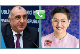  Spain thanks Azerbaijan for solidarity in COVID-19 fight  