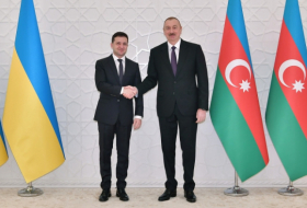 Vladimir Zelensky makes phone call to Ilham Aliyev