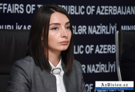 Azerbaijan's position on Nagorno-Karabakh conflict remains unchanged , says Leyla Abdullayeva 