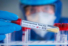 Azerbaijan records 273 new coronavirus cases, 3 deaths 