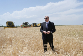   President Ilham Aliyev attends ceremony to start grain harvest in Aghjabadi  