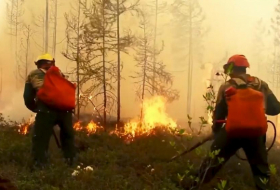   Forest fires burn out of control in Russia's Arctic region -   NO COMMENT    