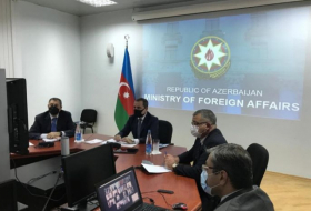  Azerbaijani FM holds videoconference with heads of Azerbaijani diplomatic missions abroad 