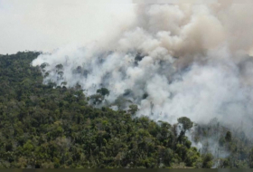   The Amazon rainforest destroyed by international fires -    NO COMMENT    