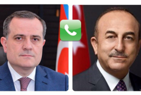   Azerbaijani, Turkish foreign ministers discuss discovery of gas field in Black Sea  