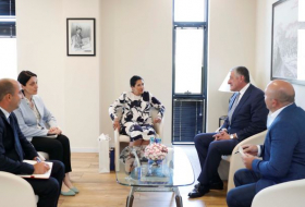 Georgian president meets outgoing Azerbaijani ambassador