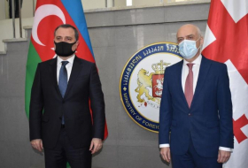 Azerbaijani, Georgian FMs hold meeting - UPDATED