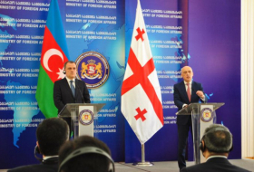   FM: Azerbaijan, Georgia support each other’s territorial integrity  