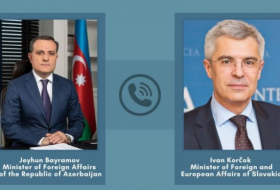   Azerbaijani FM informs Slovak counterpart on Armenian military aggression  