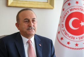   Turkey FM calls for solidarity in Azerbaijan’s just cause  