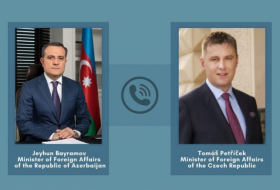Azerbaijani, Czech foreign ministers hold phone talk  