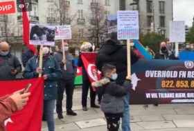 Azerbaijanis stage protest rally outside Norwegian parliament –   PHOTO   