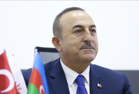  Turkish FM congratulated Azerbaijan on victory 