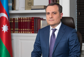   Azerbaijani FM expressed gratitude to Turkey  