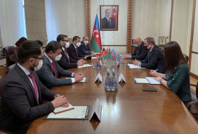 Azerbaijani FM, Afghan delegation discuss bilteral relations