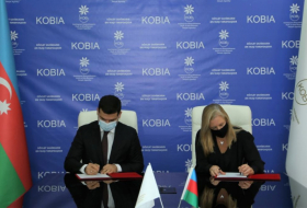 Azerbaijan's Business Development Agency to collaborate with UAFA