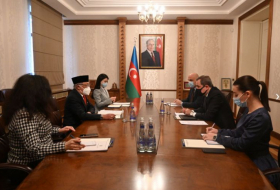 Azerbaijani FM receives incoming Indonesian ambassador