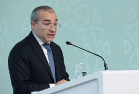  Azerbaijan maintains economic stability despite COVID-19-related global crisis, says Economy Minister 