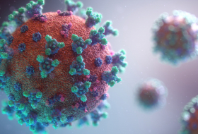  Will the new Coronavirus mutation affect the vaccine? -  iWONDER  