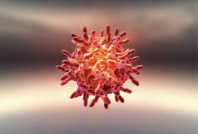  How the coronavirus variant spreads -  iWONDER  