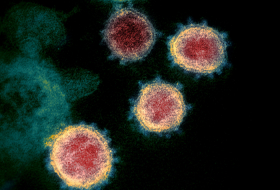   How and why coronaviruses mutate -   VIDEO    