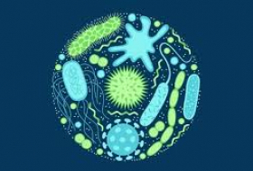  Silent pandemic of antibiotic resistance -  OPINION  