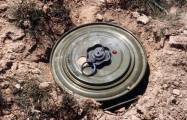   Total of 2,728 mines produced in Armenia in 2021 discovered and deactivated in Karabakh - Azerbaijani FM  