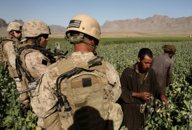  The Narco-Terrorist Taliban -  OPINION  