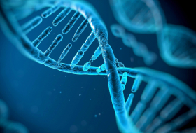 Scientists identify gene linked to significantly higher risk of severe COVID-19
 