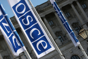   OSCE Minsk Group needs to be either dissolved or reformed -   OPINION    