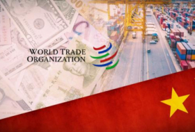   Misreading China's WTO record hurts global trade -   OPINION    