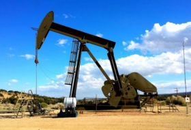 Oil prices climb on world markets 