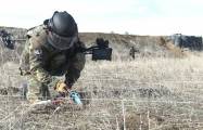   Azerbaijan continues demining operations in liberated territories  