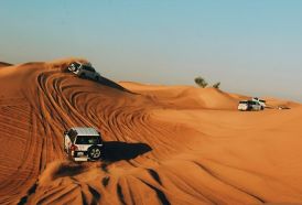   How Dubai is pushing back its encroaching deserts -   iWONDER    