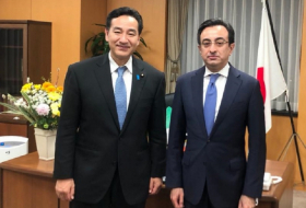   Azerbaijan is important partner for Japan in the region, minister says   