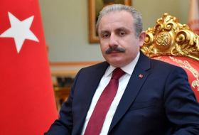 Turkish Parliament speaker pays tribute to memory of martyrs of January 20 tragedy